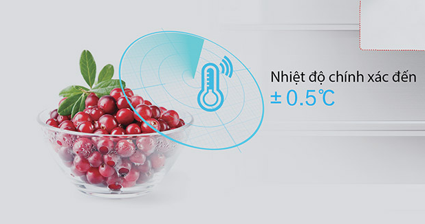 Tủ lạnh Toshiba Inverter 511 lít GR-RF610WE-PMV(37)-SG