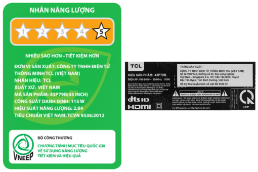Google TV TCL 4K 43 inch 43P79B