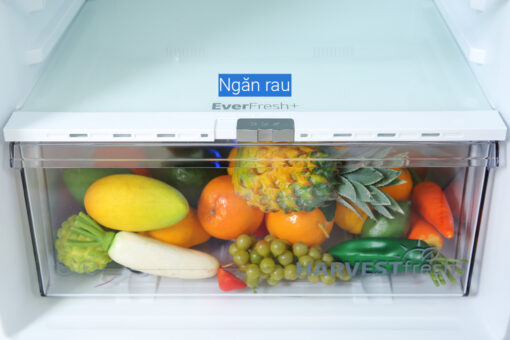 Tủ lạnh Beko Inverter 375 lít RDNT401I50VDS