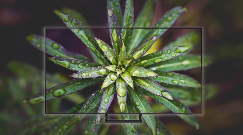 Smart Tivi Samsung 4K 55 inch 55AU9000 Crystal UHD