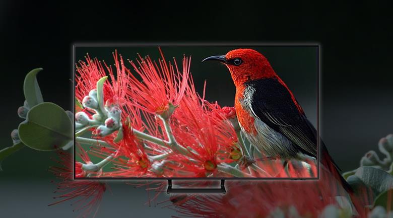 Smart Tivi Samsung 4K 55 inch 55AU9000 Crystal UHD