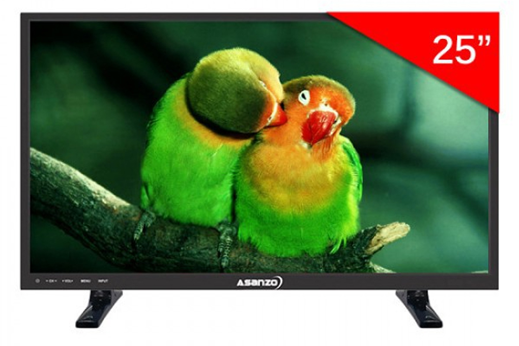Tivi LED ASANZO 25 inch 25S200T2