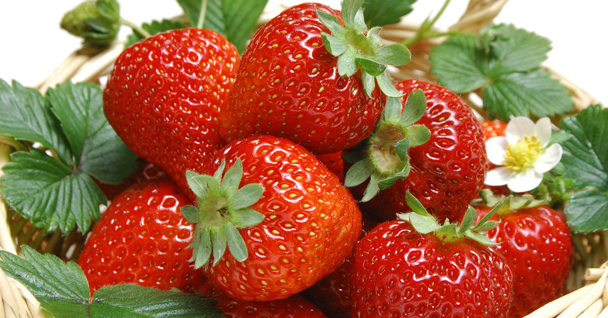 Tủ Lạnh Hitachi R-H230PGV7(BBK)- 230L Inverter