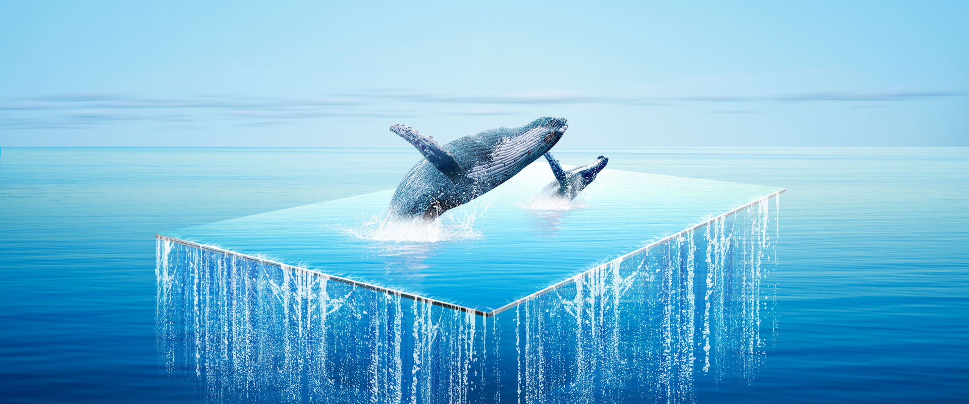 Smart TV TCL Android 8.0 40 inch Full HD Wifi - 40L61