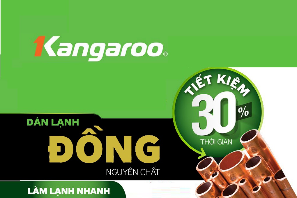 Tủ đông kháng khuẩn Kangaroo KG498C2