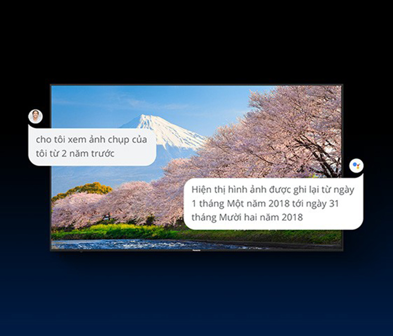 Android Tivi Panasonic 4K 55 inch TH-55GX755V