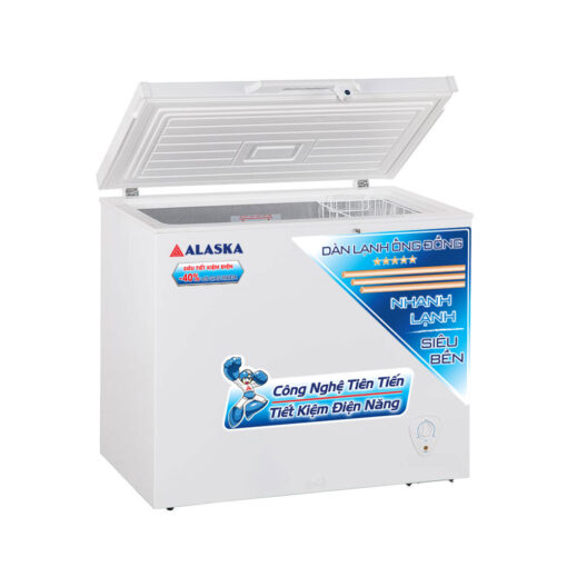 Tủ đông Alaska 300 lít BD-300C