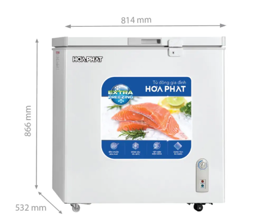 Tủ đông Hòa Phát 162 lít HPF AN6162