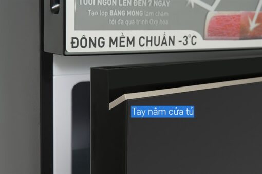 Tủ lạnh Panasonic 325 lít 2 cửa NR-BC361VGMV