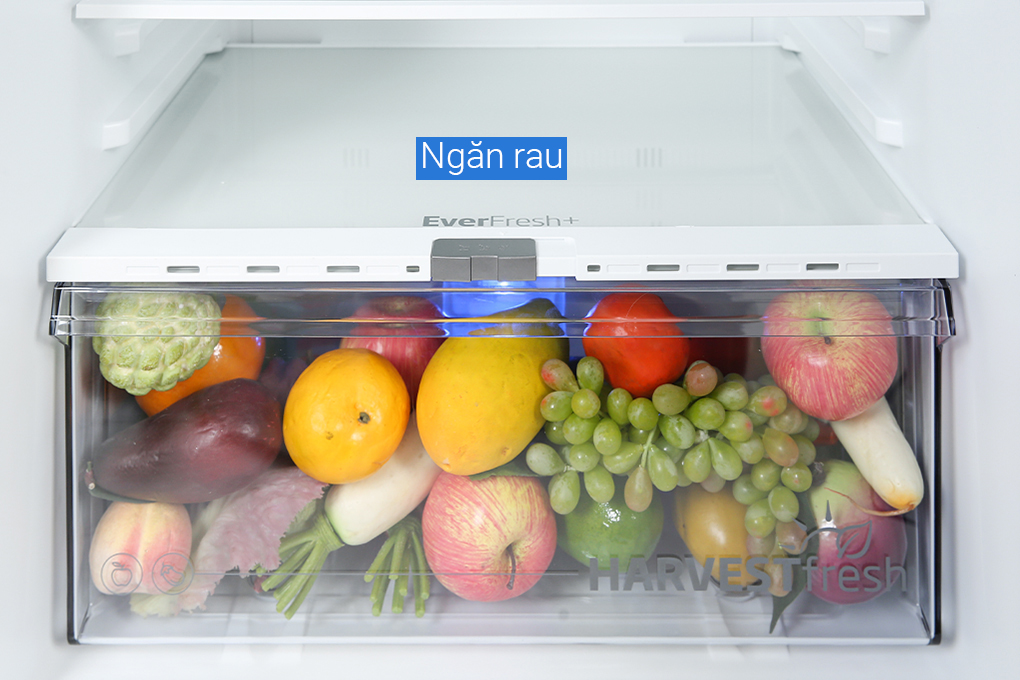 Tủ lạnh Beko Inverter 340 lít RDNT371E50VZK