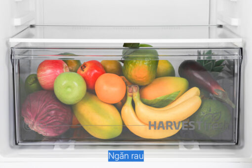 Tủ lạnh Beko Inverter 340 lít RDNT371I50VS