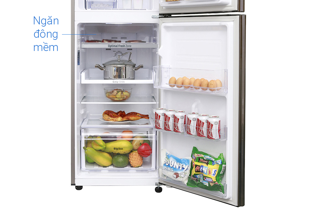 Tủ lạnh Samsung Inverter 236 lít RT22M4032DX/SV