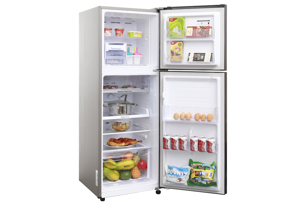 Tủ lạnh Samsung Inverter 236 lít RT22M4032DX/SV