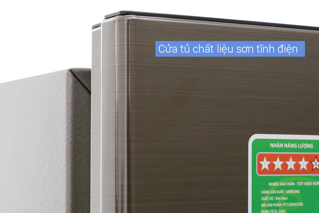 Tủ lạnh Samsung Inverter 236 lít RT22M4032DX/SV