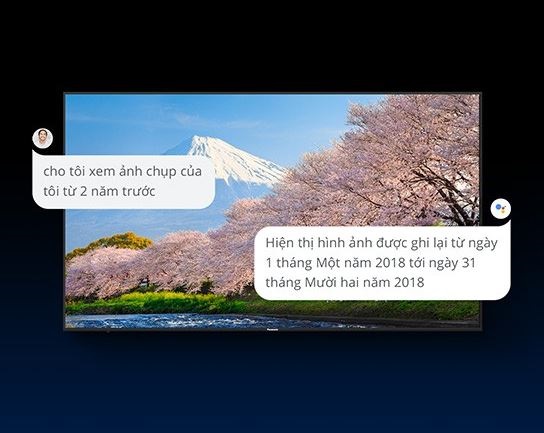 Android Tivi 4K Panasonic 43 Inch TH-43GX655V