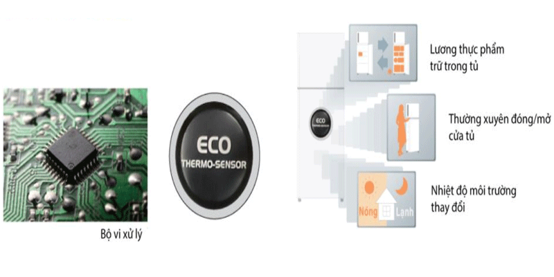 Tủ Lạnh HITACHI 290 Lít R-H350PGV7 (BSL)