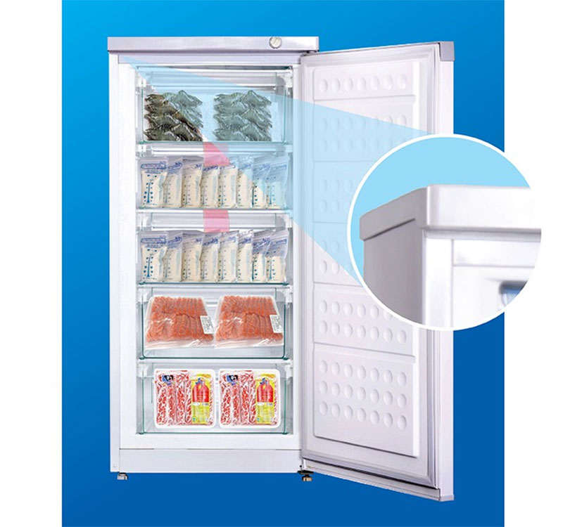 Tủ đông đứng Hòa Phát HUF-350SR1