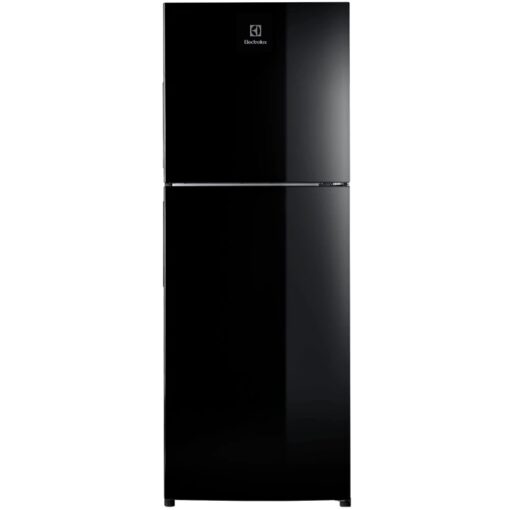 Tủ lạnh ngăn đá trên NutriFresh® Inverter 256L - ETB2802J-H - Đen