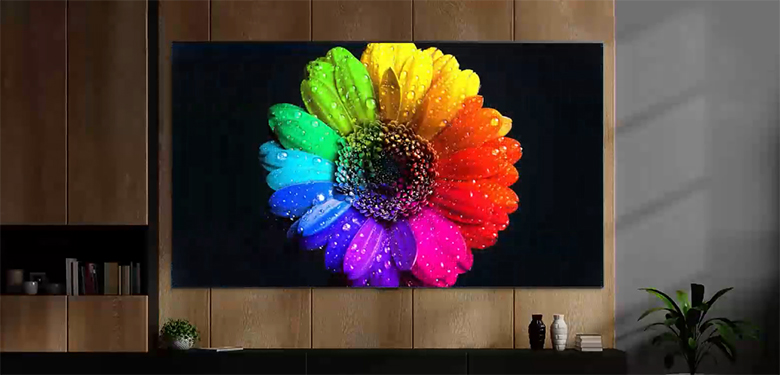 Đèn Mini LED - Smart Tivi LG QNED 4K 65 inch 65QNED91SQA