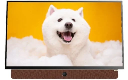 Google TV Xách Tay 24LP6000G 2k - 24 inch