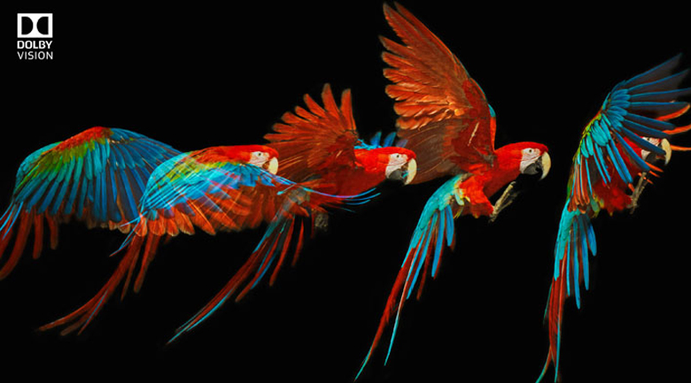 Android Tivi Sony 4K 55 inch XR-55X90J