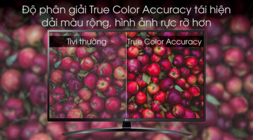 Smart Tivi LG 4K 43 inch 43UM7400PTA