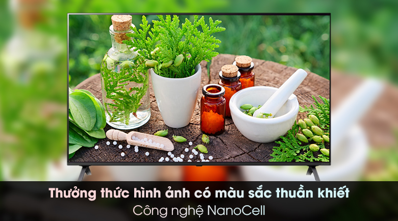 Smart Tivi NanoCell LG 4K 65 inch 65NANO79TND