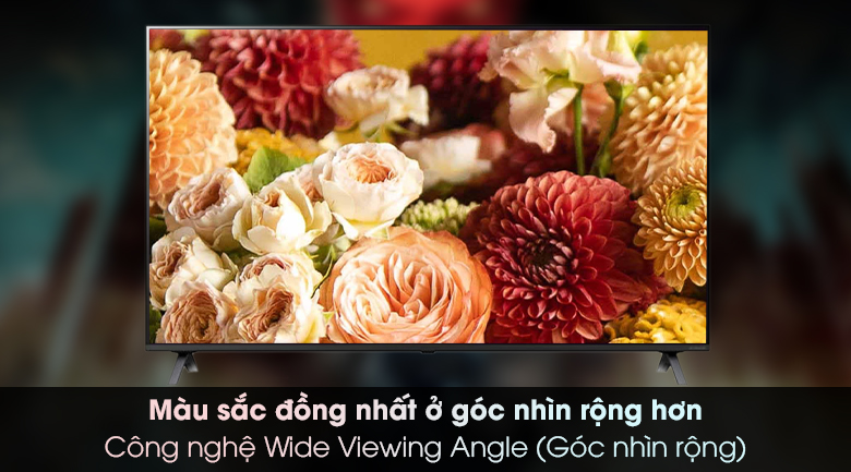 Smart Tivi NanoCell LG 4K 65 inch 65NANO79TND