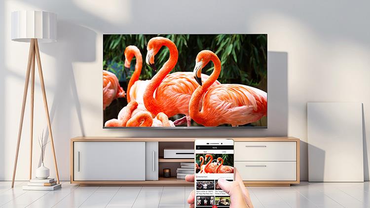QLED Tivi 8K TCL 75X915 75 inch Smart Android TV