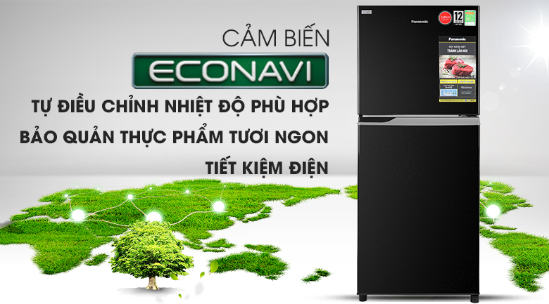 Tủ lạnh Panasonic Inverter 234 lít NR-BL263PKVN