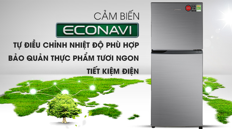Tủ lạnh Panasonic Inverter 234 lít NR-BL26AVPVN