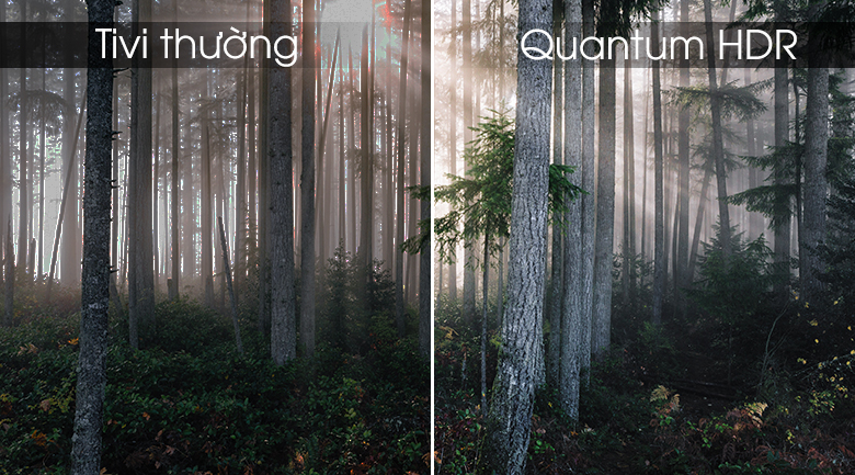 QA49Q65 công nghệ Quantum HDR