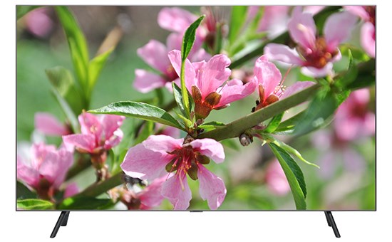 Smart Tivi QLED Samsung 4K 55 inch QA55Q75R