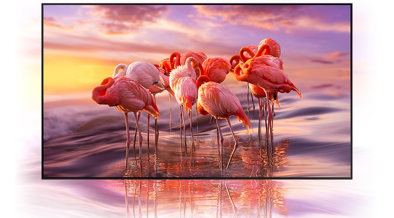 Smart Tivi QLED Samsung 8K 65 inch QA65Q800T