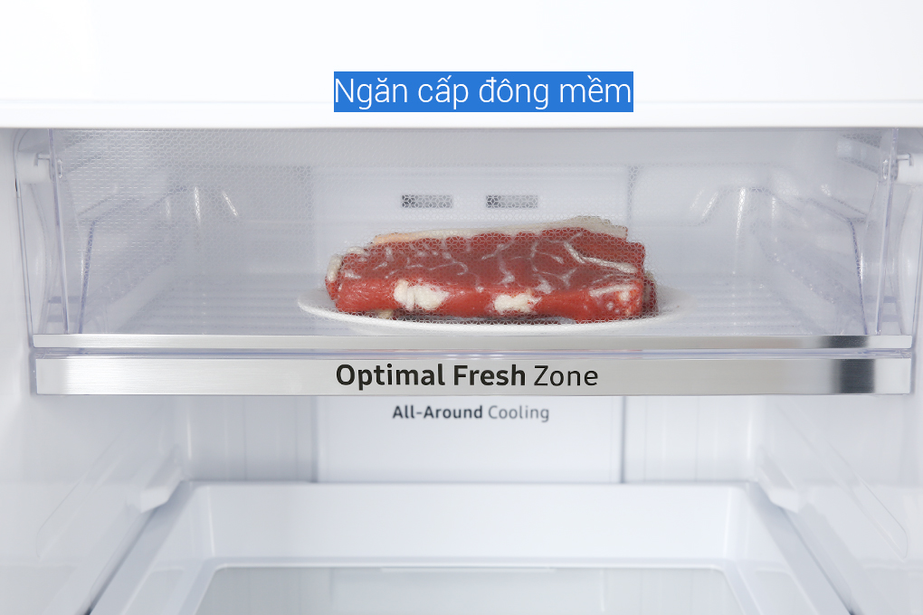 Tủ lạnh Samsung Inverter 256 lít RT25M4032BY/SV
