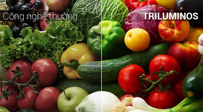 Smart Tivi Sony 4K 55 inch KD-55X80J