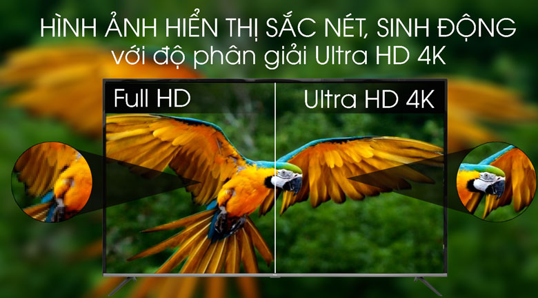 Android Tivi TCL 4K 65 inch L65P8