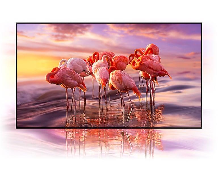 QLED Tivi 4K Samsung 65Q60T 65 inch Smart TV