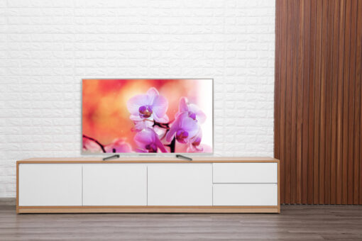 Android Tivi Sony 4K 49 inch KD-49X8500G/S