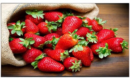 Android Tivi OLED Sony 4K 65 inch KD-65A9F