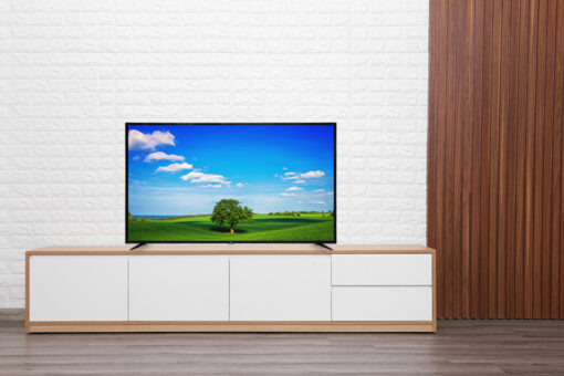 Smart Tivi TCL 4K 55 inch L55P65-UF