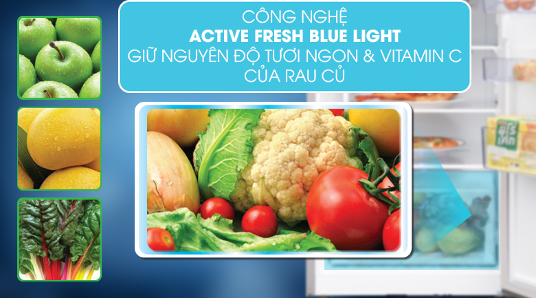 RDNT231I50VWB