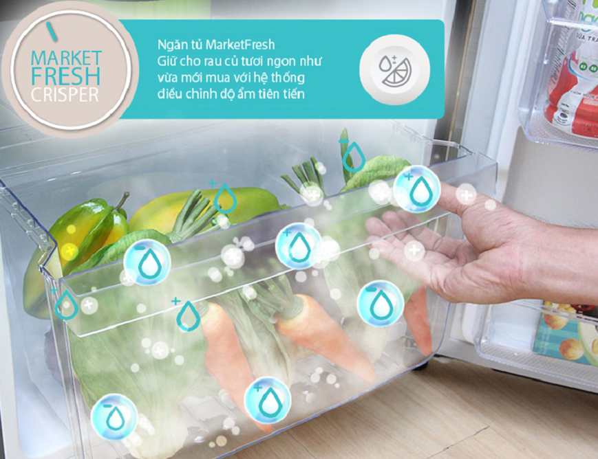 Tủ lạnh Electrolux ETE5720BA 573 lít 2 cửa Inverter