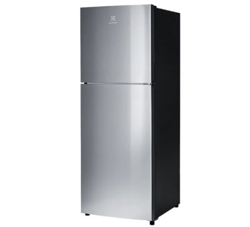 Tủ lạnh ngăn đá trên Inverter 256L - ETB2802J-A - Bạc