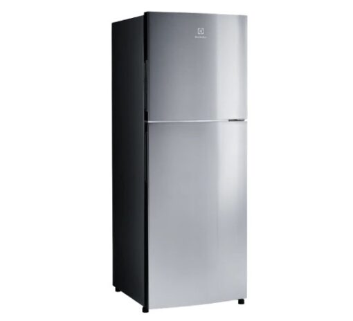 Tủ lạnh ngăn đá trên Inverter 256L - ETB2802J-A - Bạc