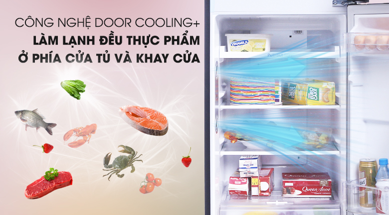 Tủ lạnh LG Inverter 208 lít GN-L208PN