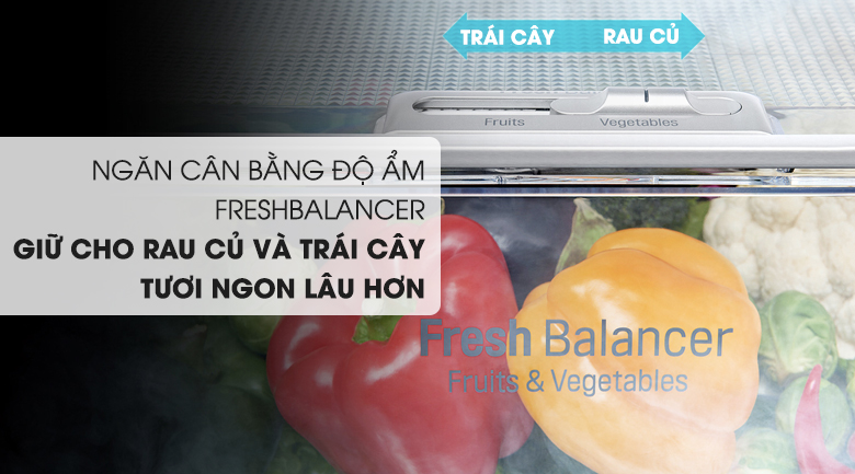 tủ lạnh GR-X247JS cân bằng ẩm tối ưu