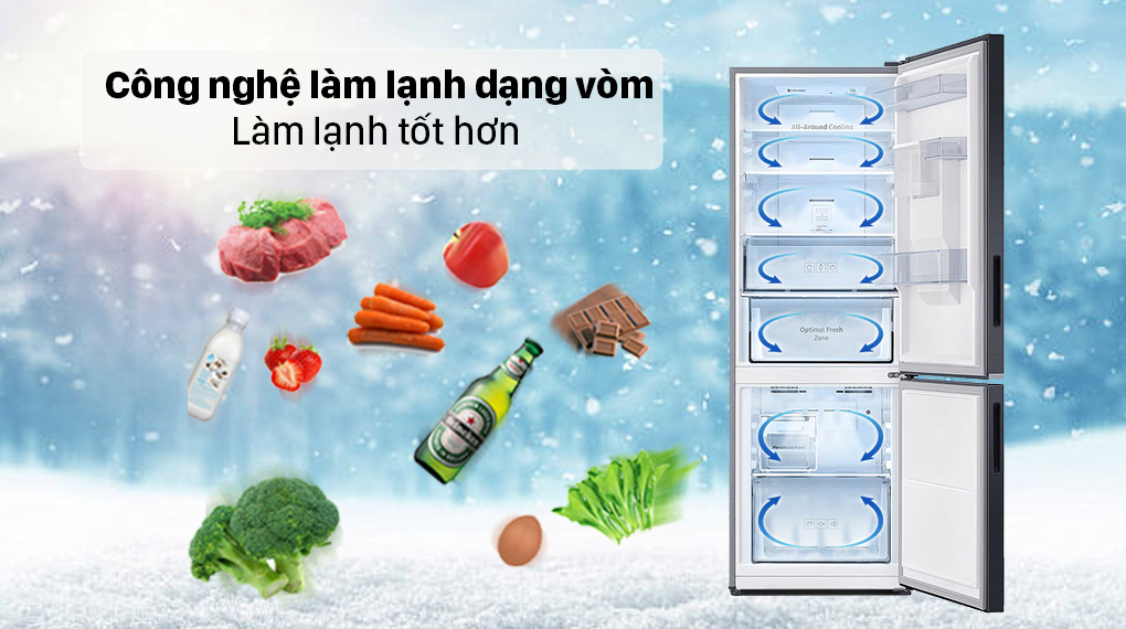 Tủ lạnh Samsung Inverter 307 lít RB30N4190BU/SV