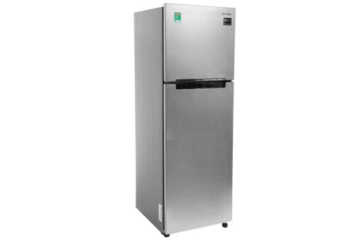 Tủ lạnh Samsung Inverter 256 lít RT25M4033S8/SV