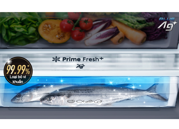 Tủ lạnh Panasonic Inverter 420 Lít NR-BX471WGKV